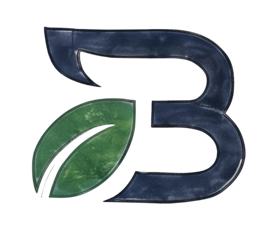 EasyBeema Logo